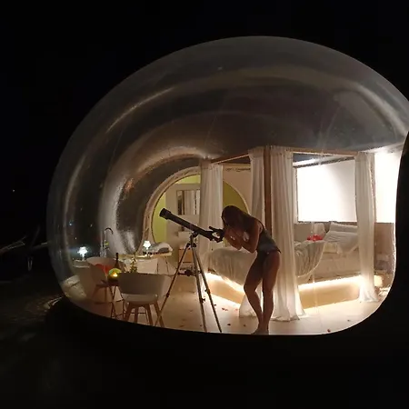 Bubble Puglia Bautier Bubblenights